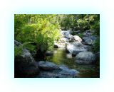 SardKors2010- (114)-web1.jpg